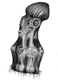 Octopus Copyright &copy; 1999-2003 Michael Prescott