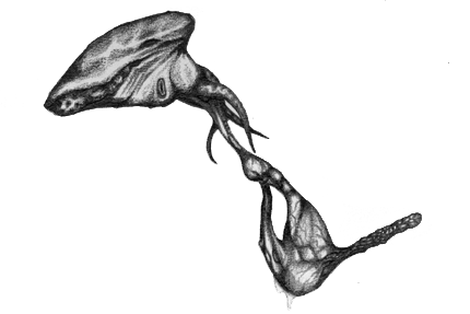 Wandering Stomach Copyright &copy; 1999-2003 Michael Prescott